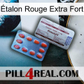 Étalon Rouge Extra Fort 36